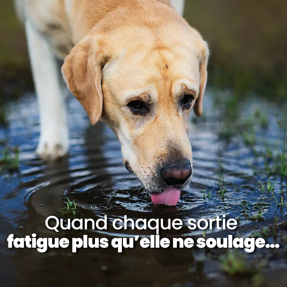 la gourde Virée Douce