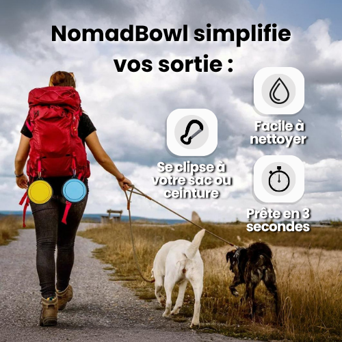 NomadBowl