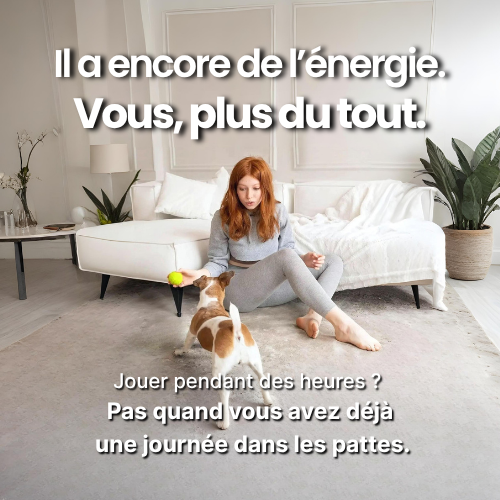 Le lanceur automatique PlayMate