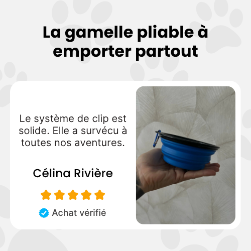 NomadBowl