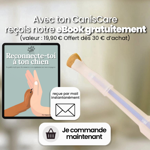 Administreur CanisCare