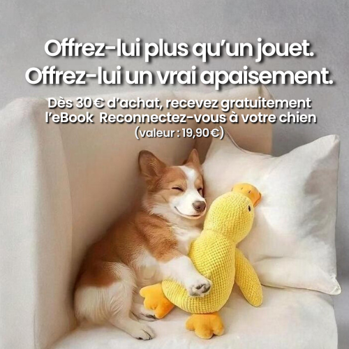 Le Compagnon Zen Duck