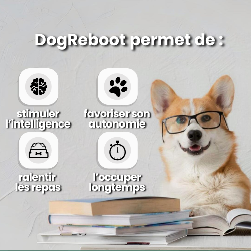 DogReboot
