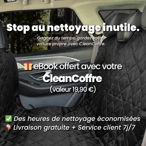 CleanCoffre