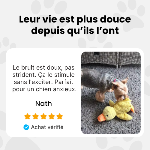 Le Compagnon Zen Duck