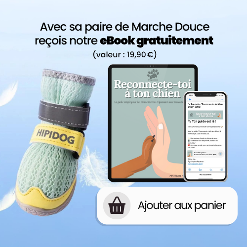 La Marche Douce