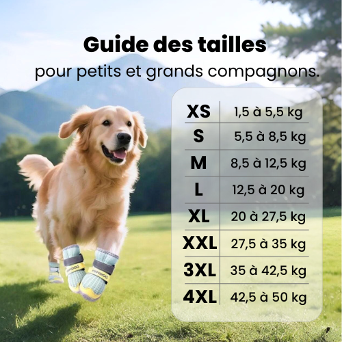 La Marche Douce