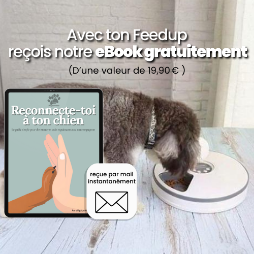 Distributeur automatique FeedUp