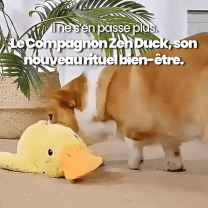 Le Compagnon Zen Duck