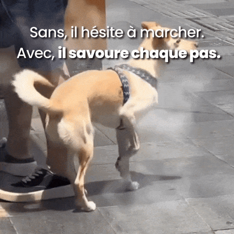 La Marche Douce