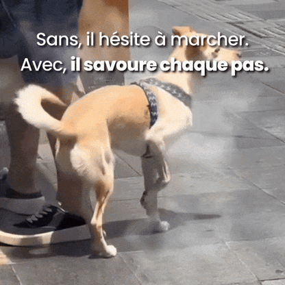 La Marche Douce