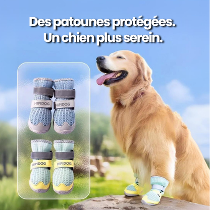 La Marche Douce