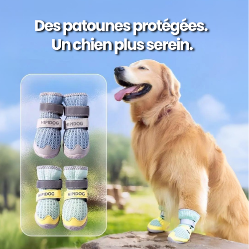 La Marche Douce