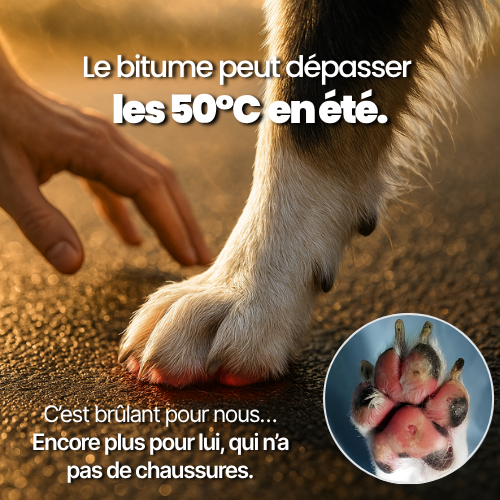 La Marche Douce