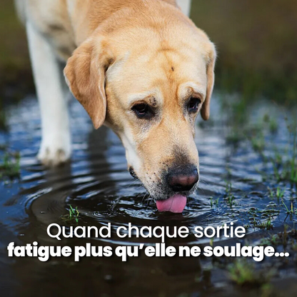 la gourde Virée Douce
