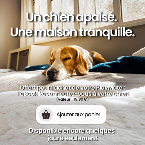 Le lanceur automatique PlayMate