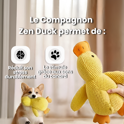 Le Compagnon Zen Duck