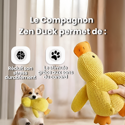 Le Compagnon Zen Duck
