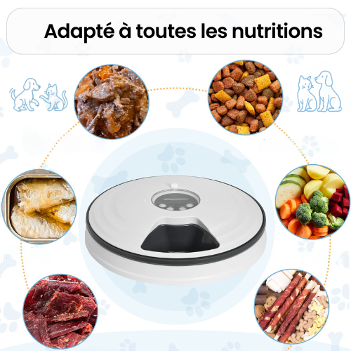 Distributeur automatique FeedUp