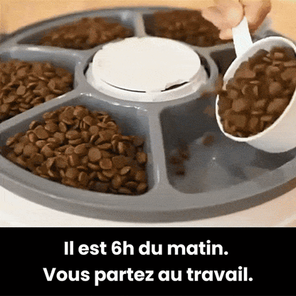 Distributeur automatique FeedUp