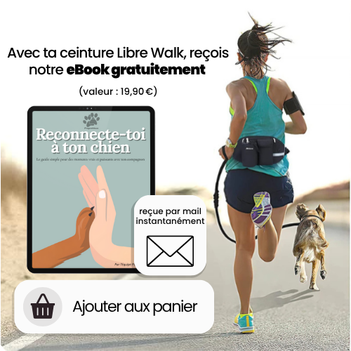Ceinture LibreWalk