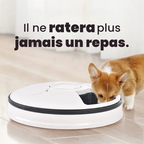 Distributeur automatique FeedUp