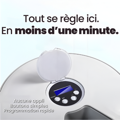 Distributeur automatique FeedUp