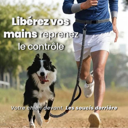 Ceinture LibreWalk