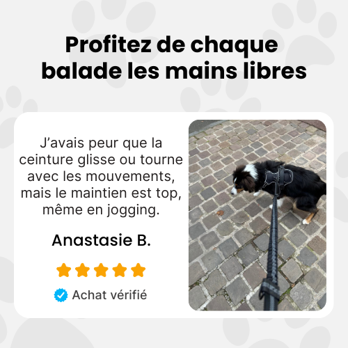 Ceinture LibreWalk