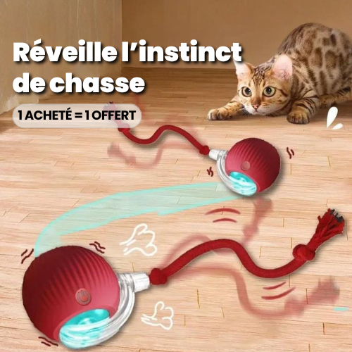 FéliOrb
